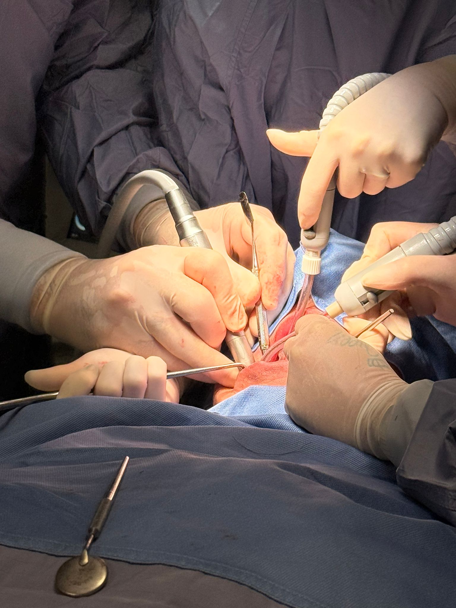 La sala operatoria in odontoiatria: un'opportunità di crescita professionale e di business
